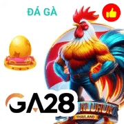 32wii Game 05